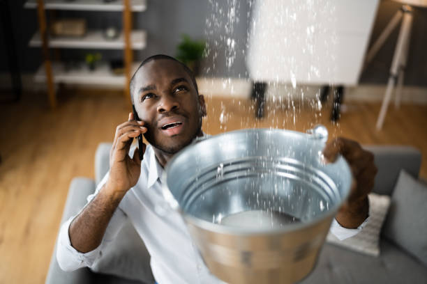 Best Water damage restoration experts  in Dakota Ridge, CO