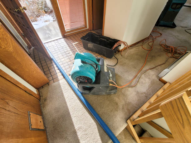 Best Carpet water damage restoration  in Dakota Ridge, CO