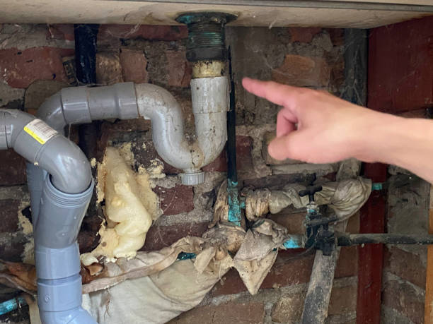 Best Flood restoration services  in Dakota Ridge, CO